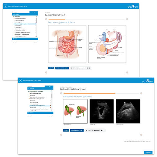 Ultrasound Training for Primary Care - Primary Care Ultrasound