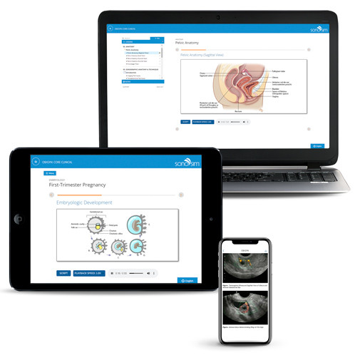 Ultrasound Training - OBGYN Pregnancy Determination