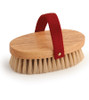 Legends™ Wilbur Show Grooming Brush 4-1/2"