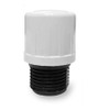 Female End Hose Plug