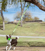Jolly Pets® Tree Tugger™