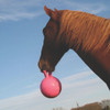 Jolly Ball® Scented 10"