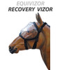 Equivizor™ Recovery Vizor