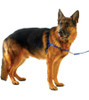 Ultrahund Freedom Harness