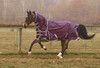 Boreas Purple Turnout Sheet 1200 Denier & Reflective Stripes