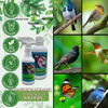 Carefree Enzymes® Birdhouse, Nesting Pocket & Gourd Cleaner