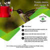 Carefree Enzymes® Hummingbird & Oriole Feeder Cleaner Spray
