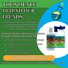 Carefree Enzymes® Seed & Hull Digester