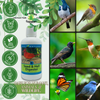Carefree Enzymes® Seed & Hull Digester