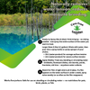 Carefree Enzymes® Mosquito Free Water Tension Eliminator