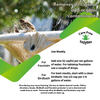 Carefree Enzymes® Birdbath & Fountain Protector