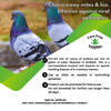 Carefree Enzymes® Pigeon Bath Protector