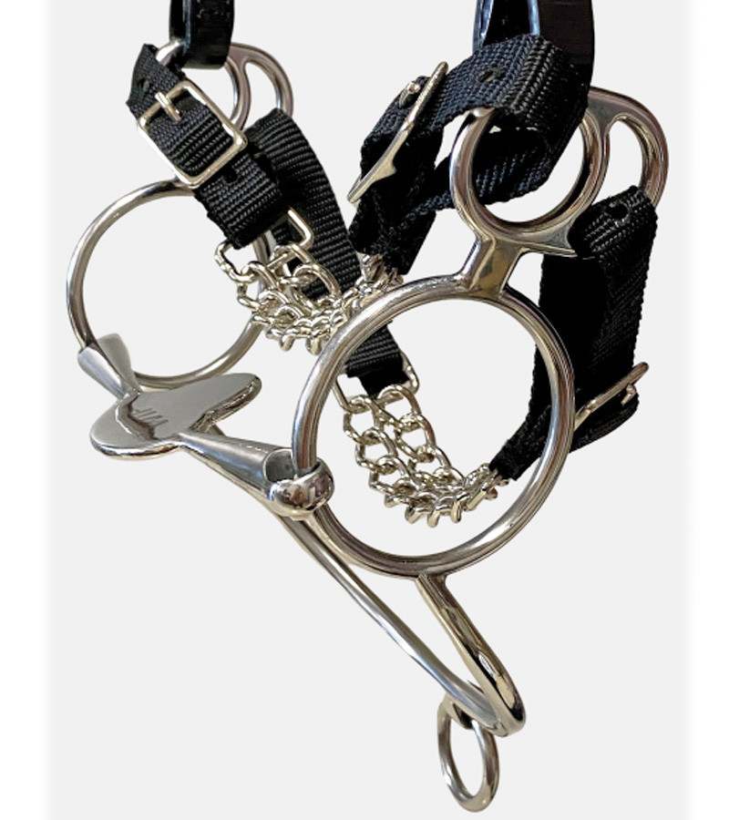 2023 BRIDLE POROSUS / TONGUE BK×LVA 新品 WTP (Winning Tongue Plate) Rearing Bit with Brakes | Jacks Inc
