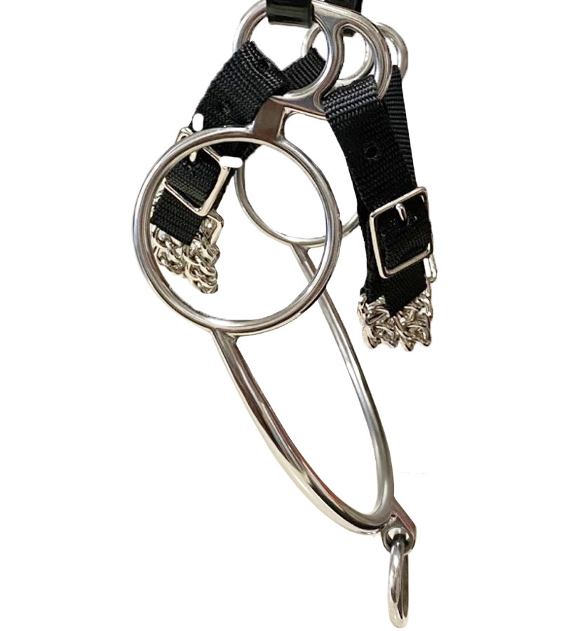 WTP (Winning Tongue Plate) Bitless Rearing Bit with Brakes | Jacks Inc