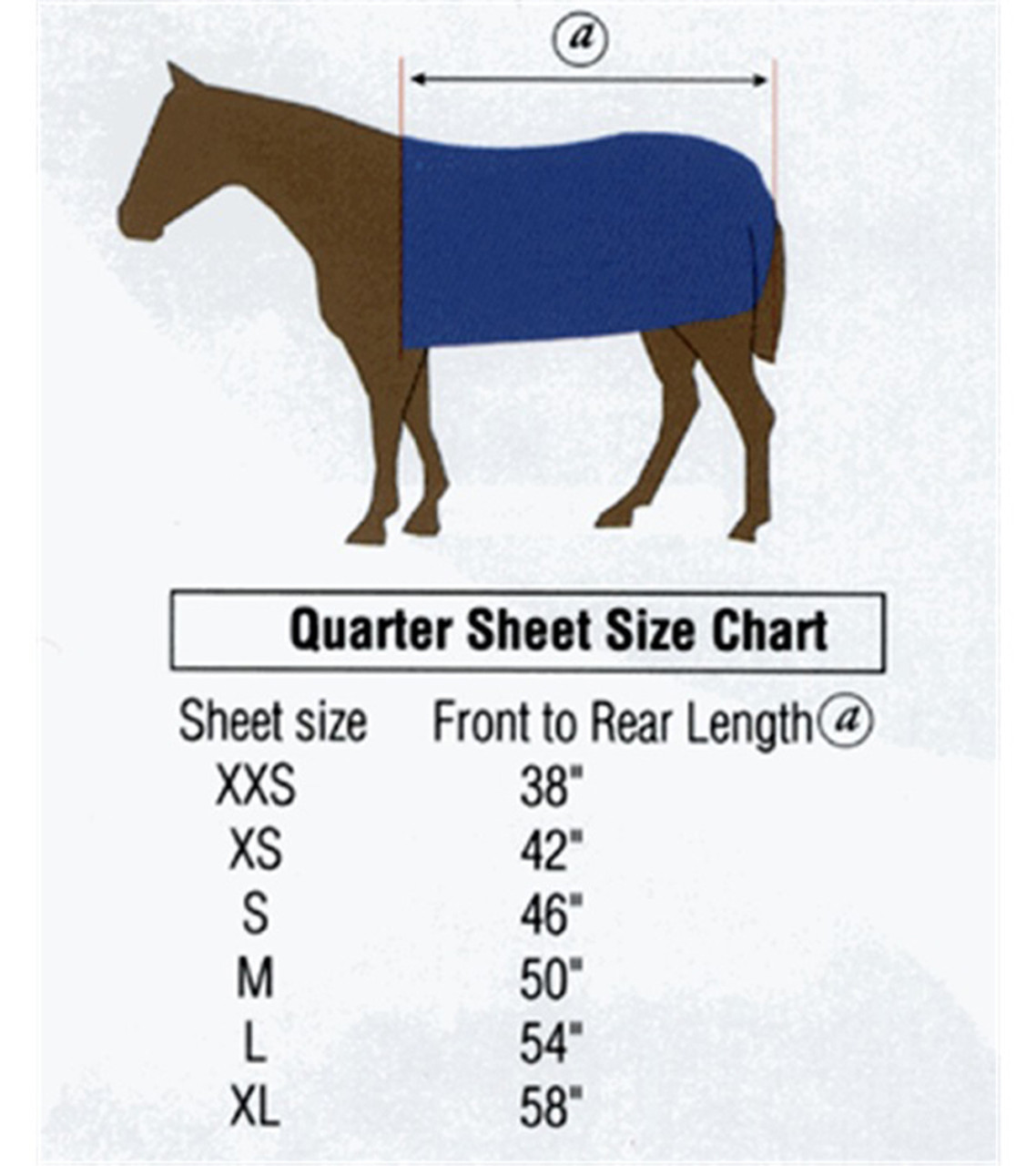 Horse Country Carrot - Reflective Quarter Sheet