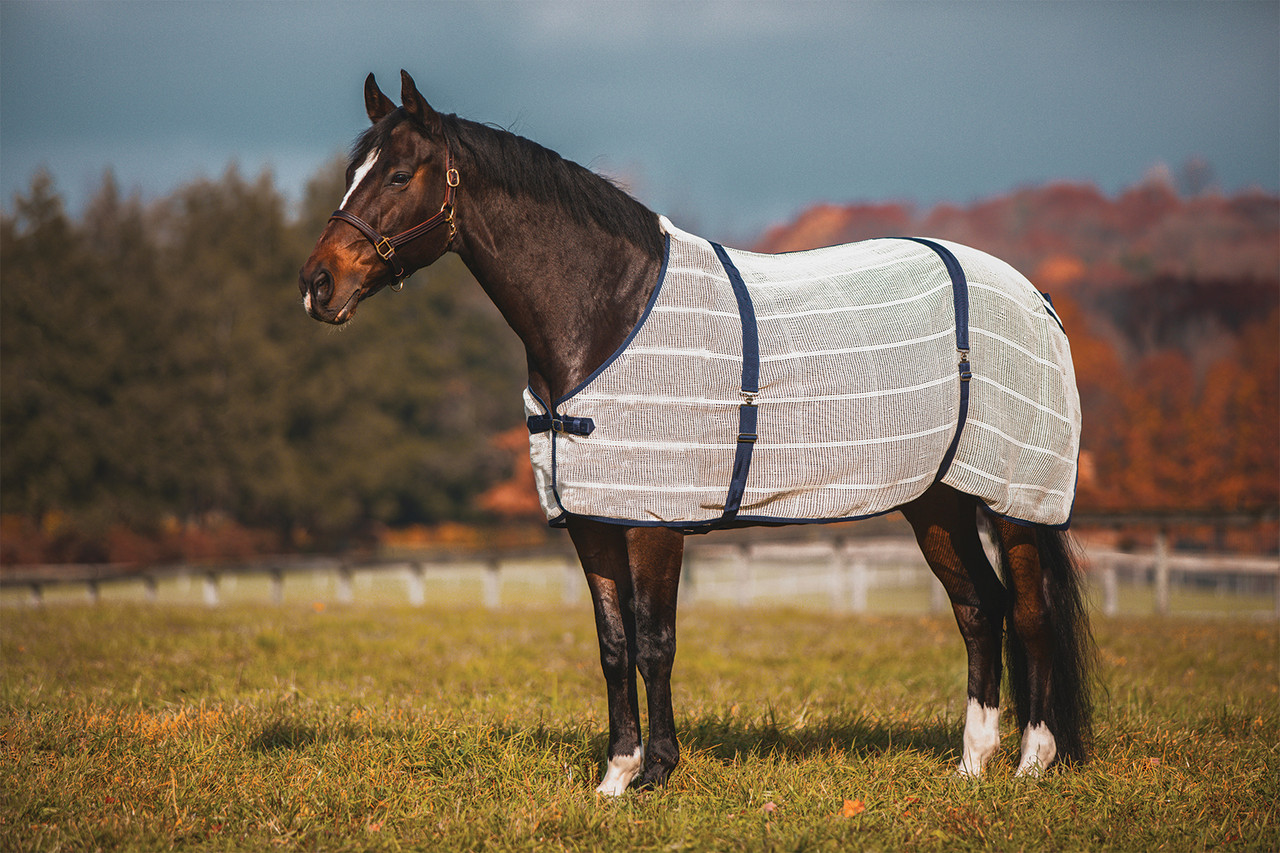 Anti-Sweat Sheet | Jacks Inc