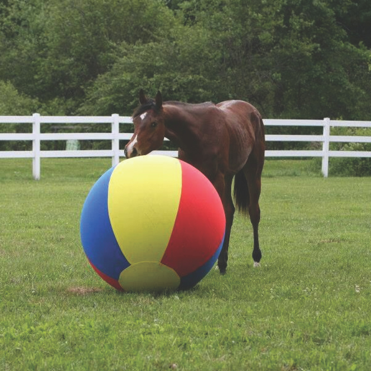 Horseman's Pride Jolly Mega Ball Horse Toy Jolly Training Accessories, Stable Equipment Supplies