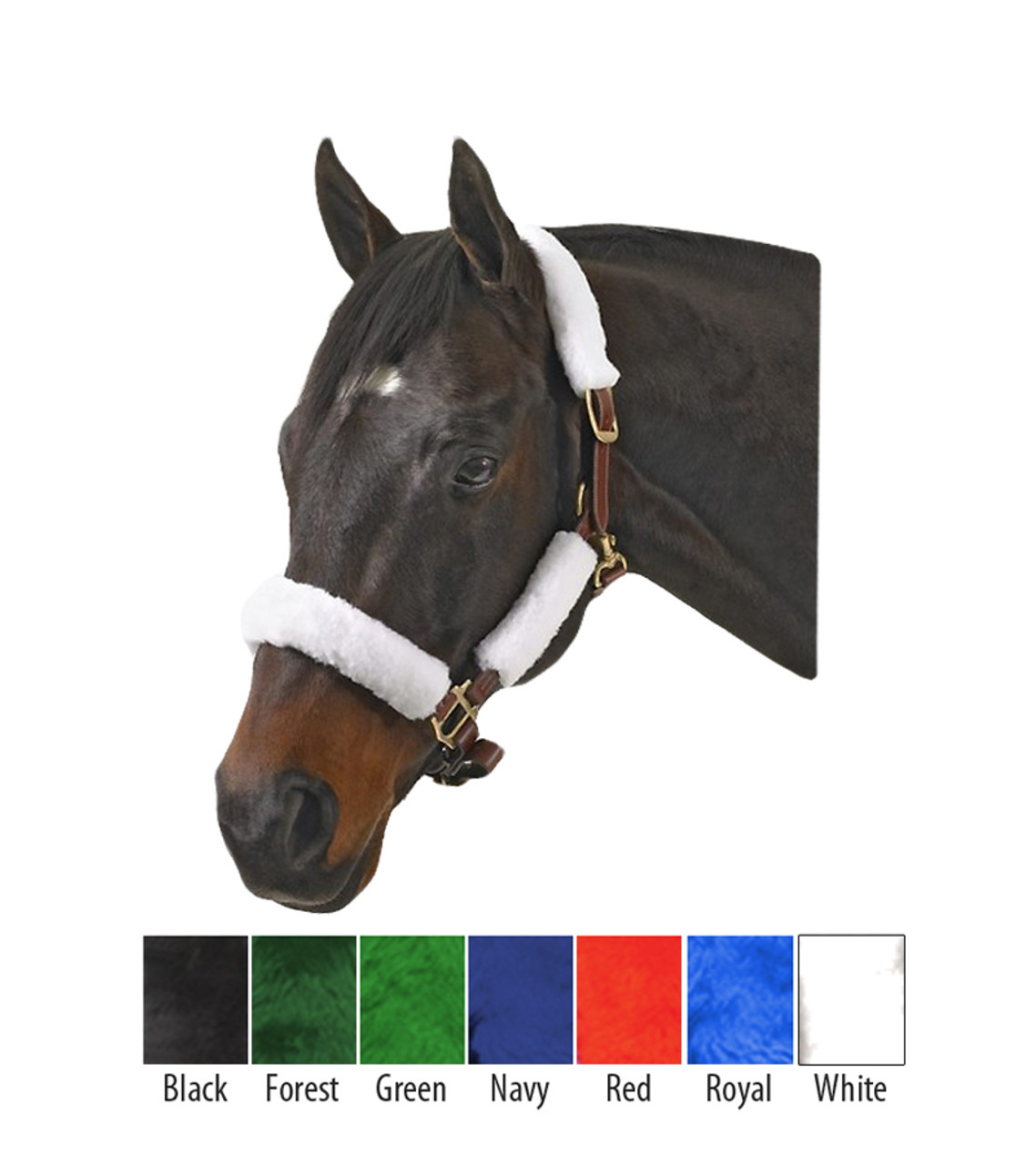 Halter Kit Jacks Inc