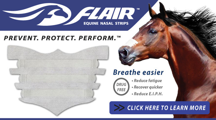 Equine Wholesale Distributor Horse Product Distributors Jacks MFG