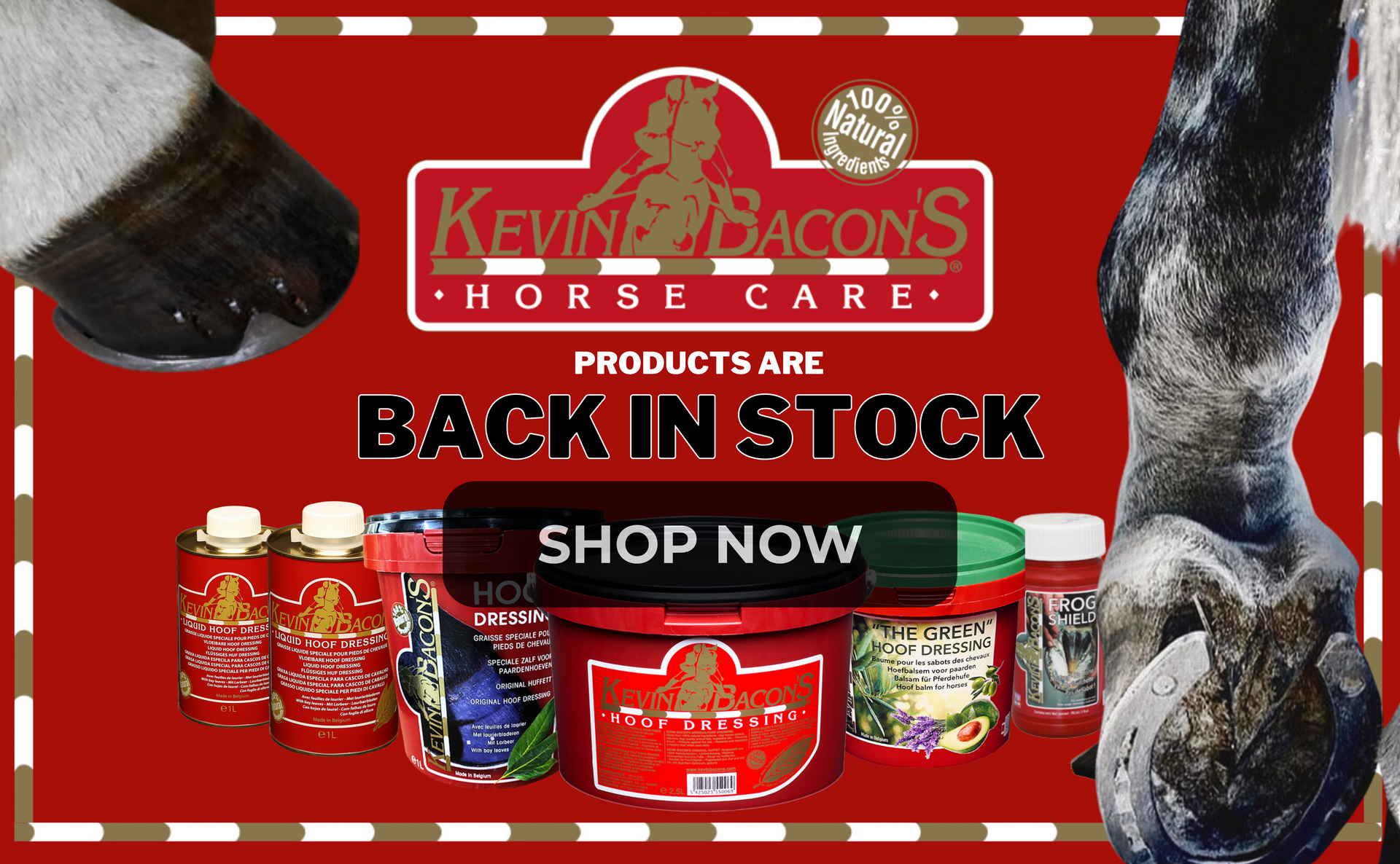 Equine Wholesale Distributor Horse Product Distributors Jacks MFG