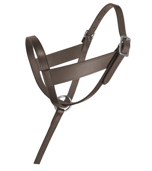 Lexington Leather Foal Halter