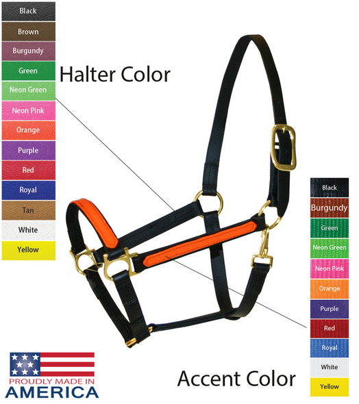 Feather-Weight® Beta 1" Two-Tone Track Halter