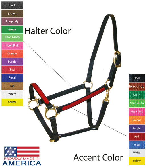 Feather-Weight® Beta 3/4" Two-Tone Track Halter