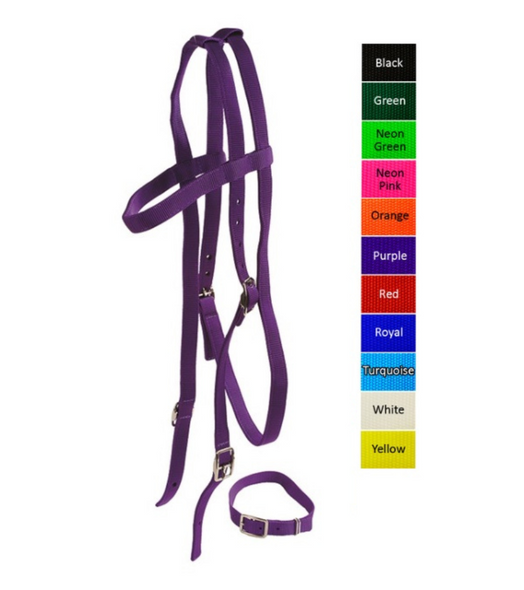 Thoroughbred Race Bridle