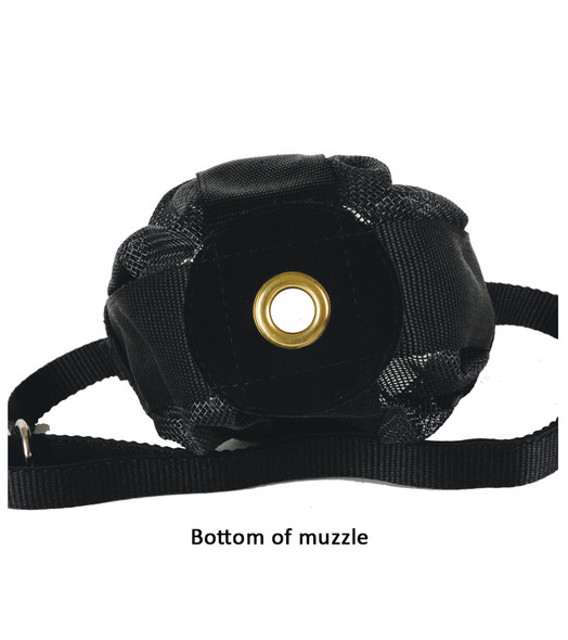 Foal/Mini Muzzle