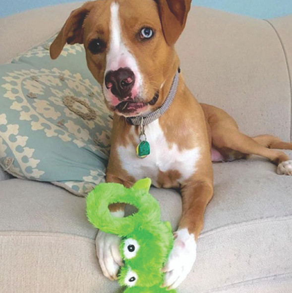 Jolly Pets® Tug-a-Mals™