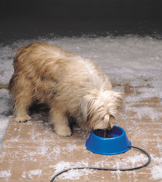 API® Heated Pet Bowl