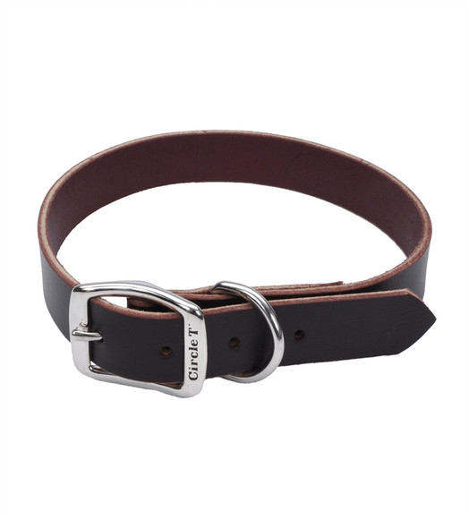 Circle T® Latigo Leather Town Dog Collar Flat 5/8"