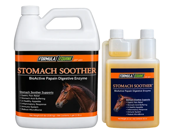 Formula 1 Noni Papaya Stomach Soother