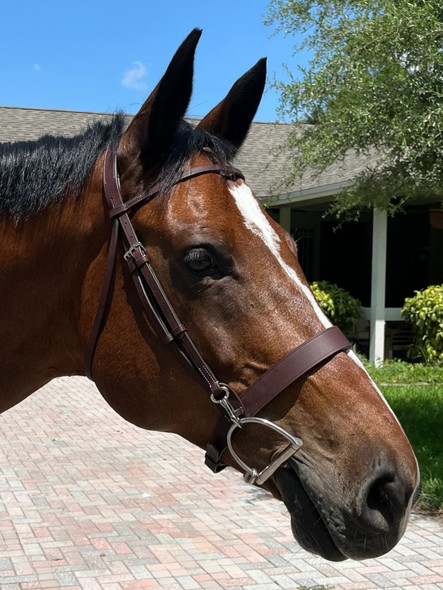 DziaSport Easy Change Schooling Bridle Only