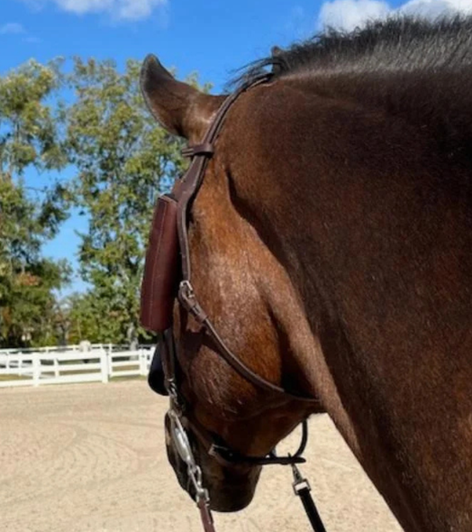 DziaSport Eyes Forward Removable Leather Blinkers