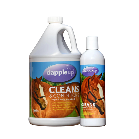 Dapple Up® Healthy Equine Shampoo