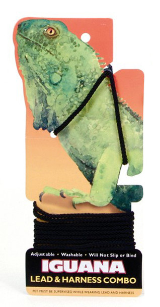 Iguana Lead & Harness Combo