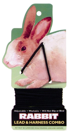 Rabbit Lead & Harness Combo