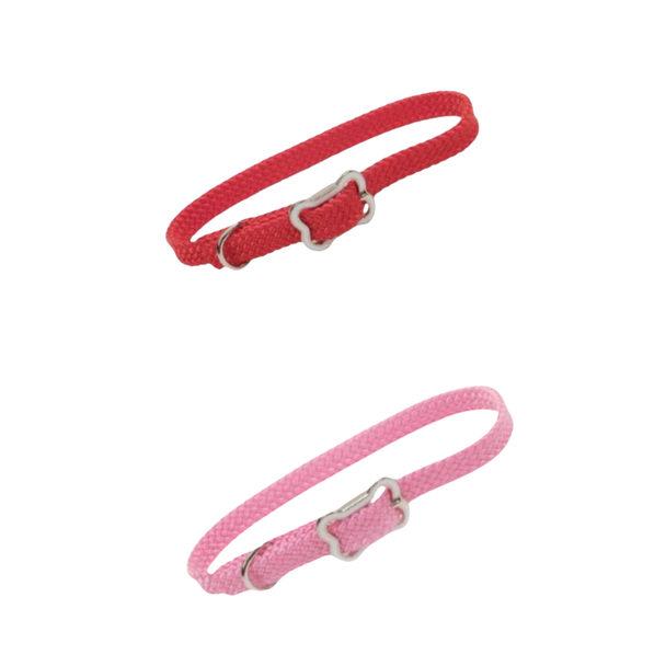 Sunburst® Dog Collar with Bone Buckle