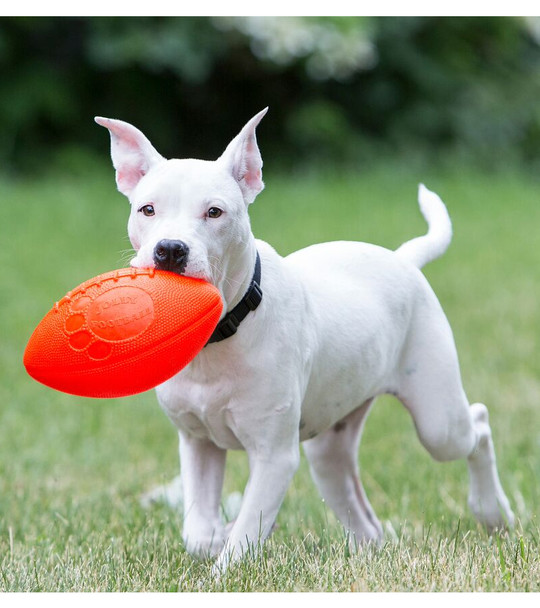 Jolly Pets® Jolly Football™