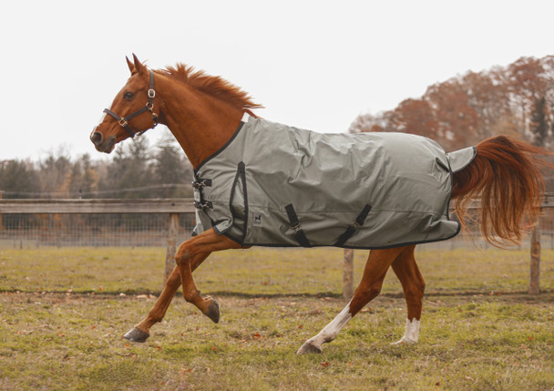 Zeus Turnout Blanket 1680 Denier with 400gm Lining