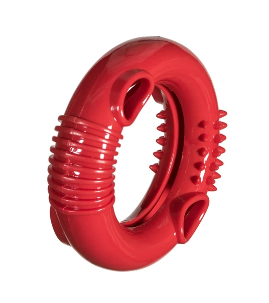 Chase 'n Chomp™ Foraging Ring