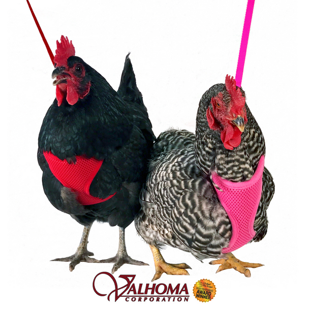 Valhoma Chicken Mesh Harness