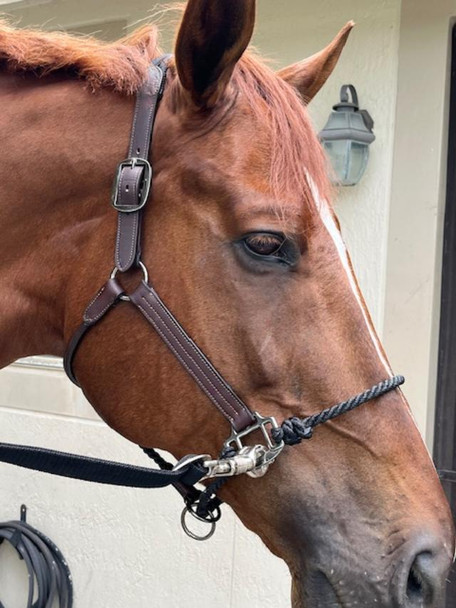 DziaSport Happy Horse Hybrid Halter