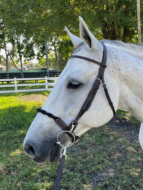 DziaSport Double Twisted Soft Rope Noseband