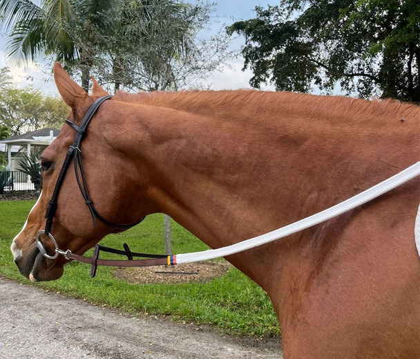 DziaSport Easy Clip-On Rubber Reins