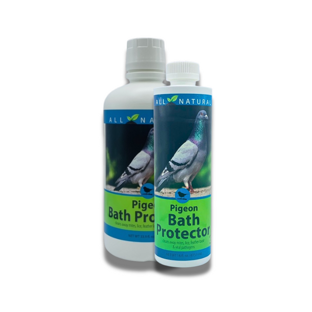 Carefree Enzymes® Pigeon Bath Protector