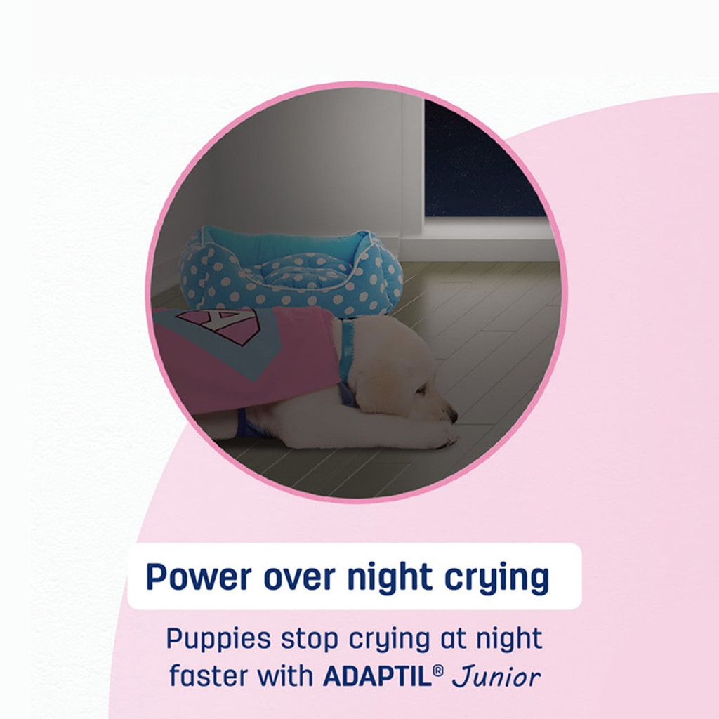 Adaptil Junior Calming Collar for Puppies, helps puppies reduce night crying effectively.
