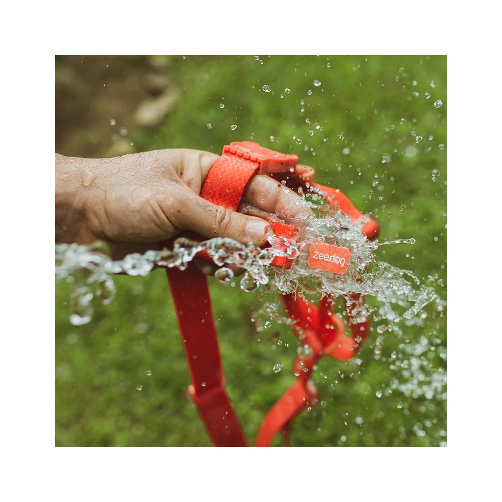 Zee.Dog Neopro Red H-Harness, waterproof design, perfect for active dogs outdoors.