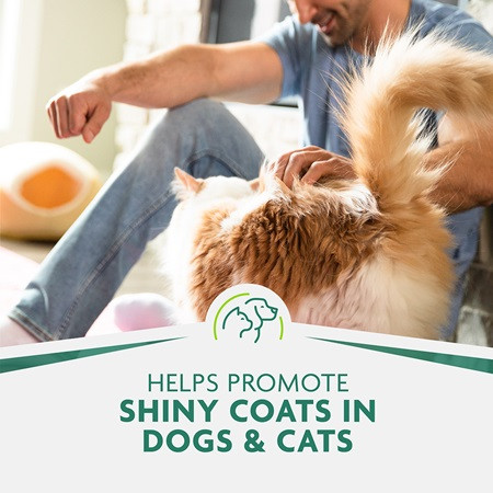 FURminator Bathing Brush promotes shiny coats for dogs and cats in a cozy setting.
